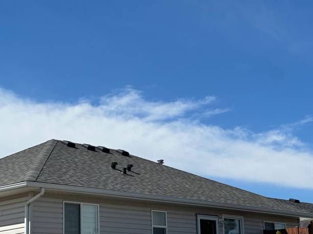 Best Emergency Roof Repair Services  in Brownsville, OR